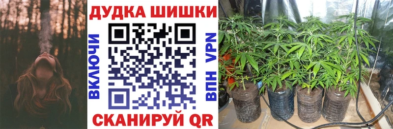 Бошки марихуана Bruce Banner  продажа наркотиков  Нижняя Салда 